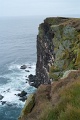 L1007393