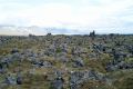 L1007254