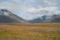 L1007814