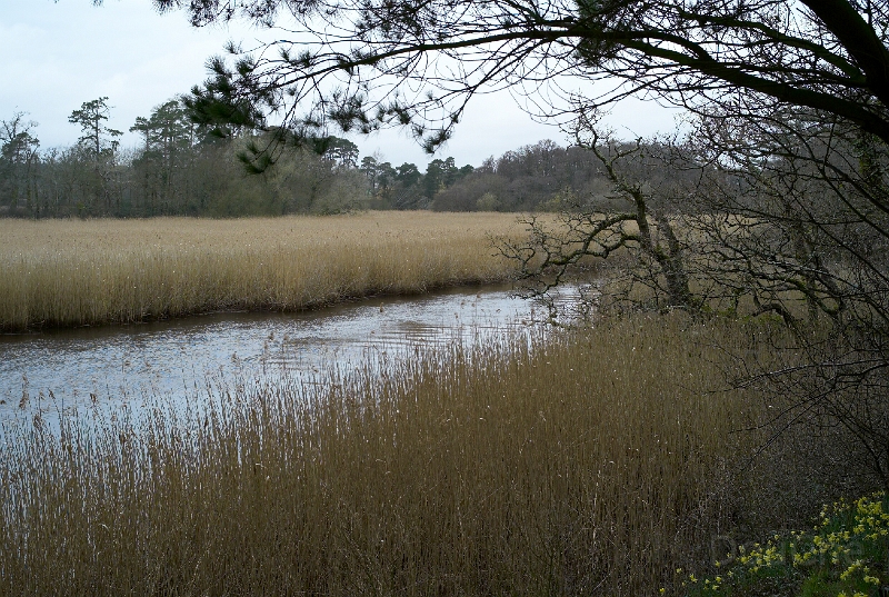 L1004980.jpg