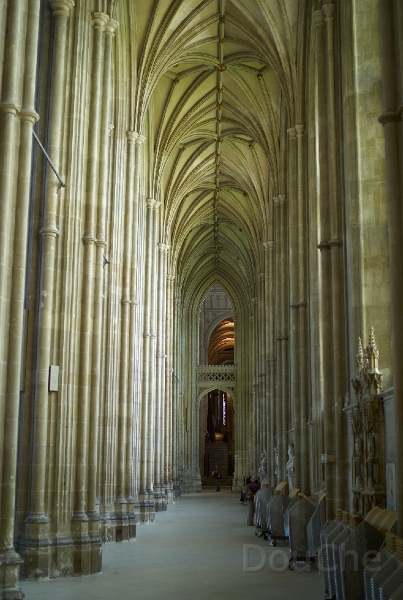 L1005959.jpg