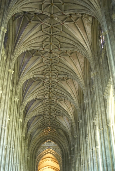 L1005961.jpg