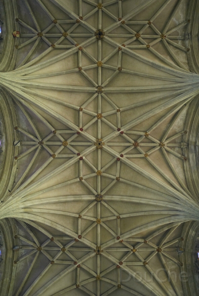 L1005965.jpg