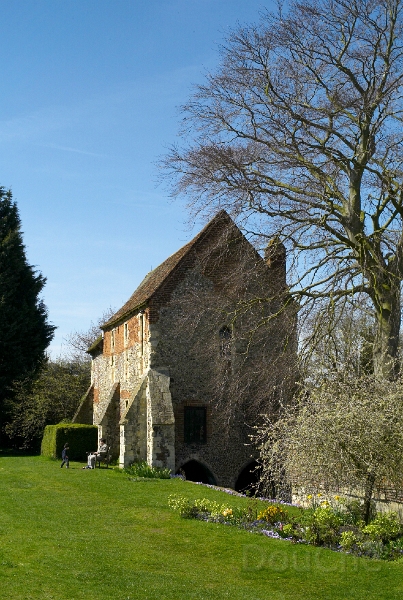 L1006009.jpg