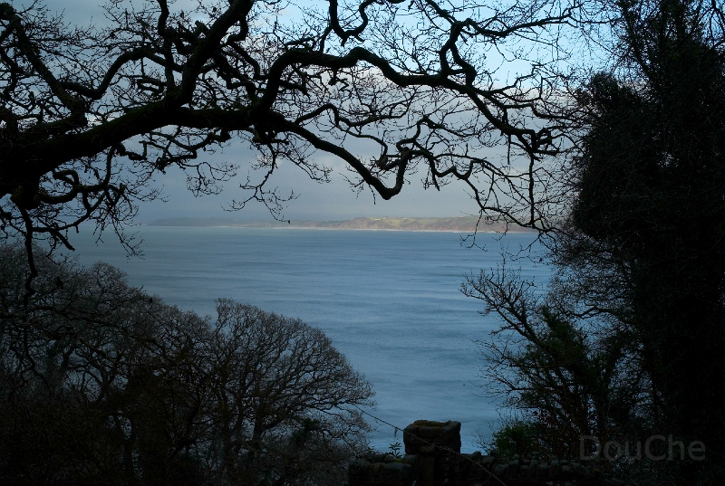 L1005553.jpg