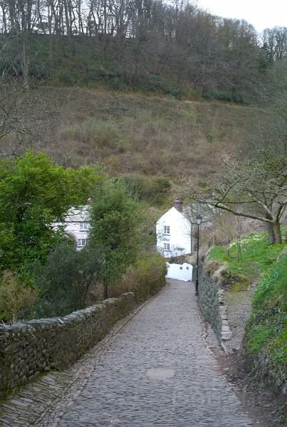 L1005555.jpg