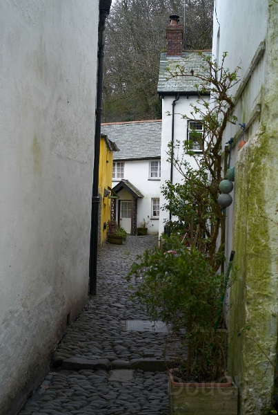 L1005561.jpg