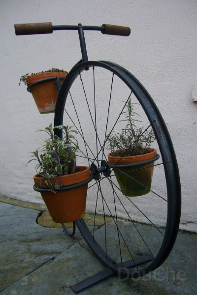 P1100214.jpg