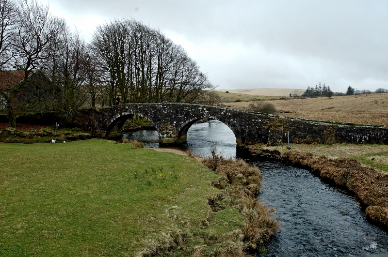 DSC_0210_out.jpg
