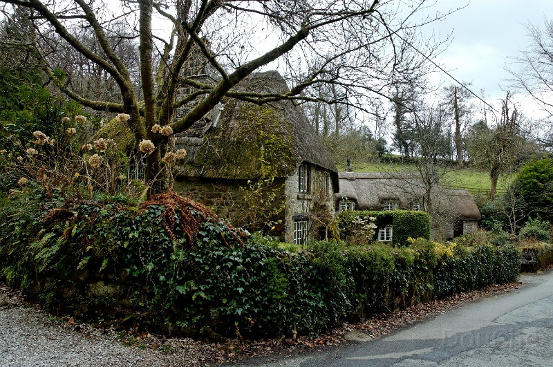 DSC_0220_out.jpg