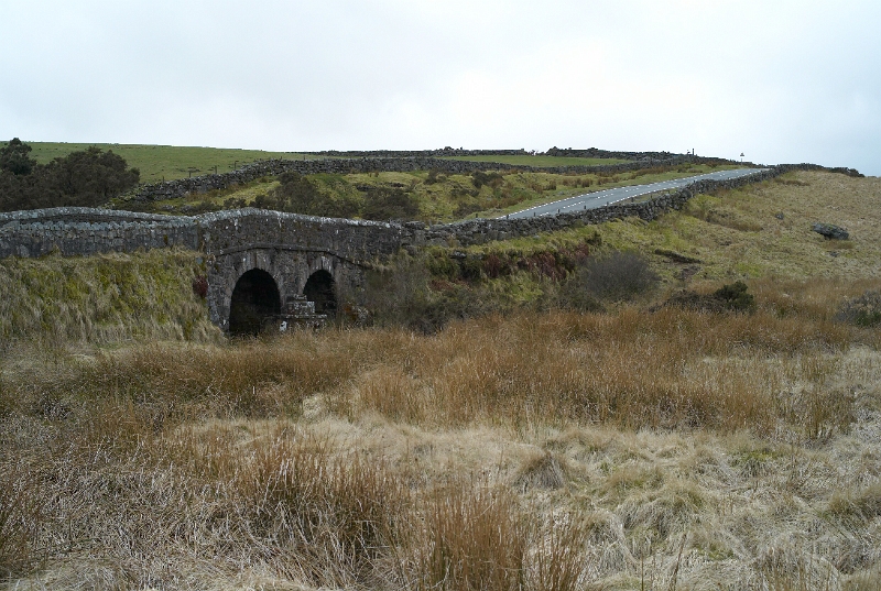 L1005514.jpg