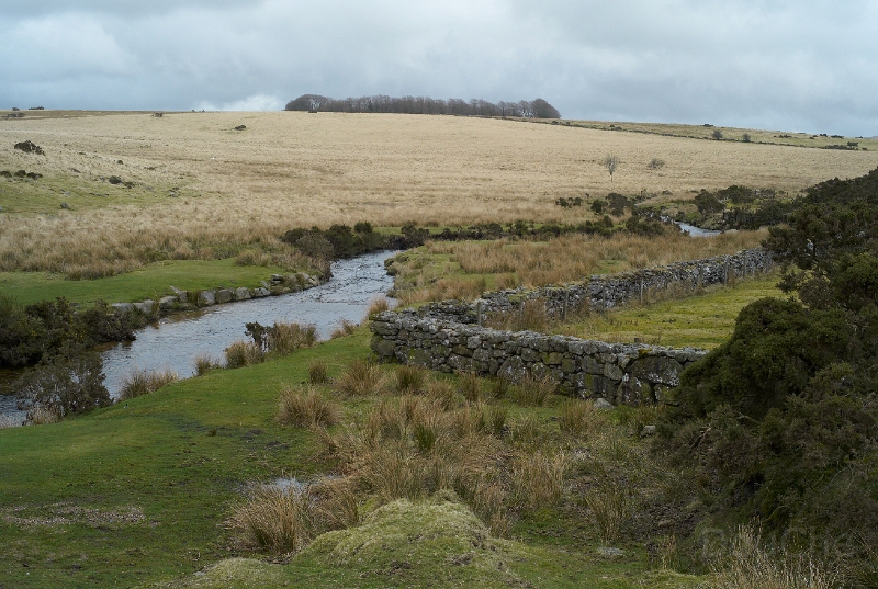 L1005515.jpg