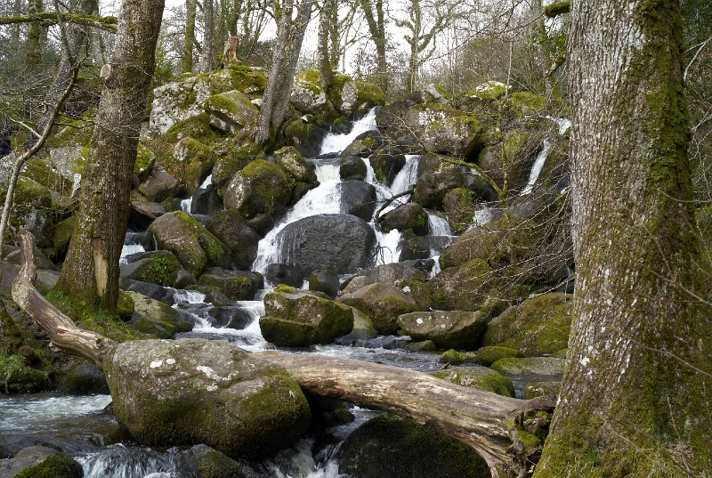 L1005524.jpg