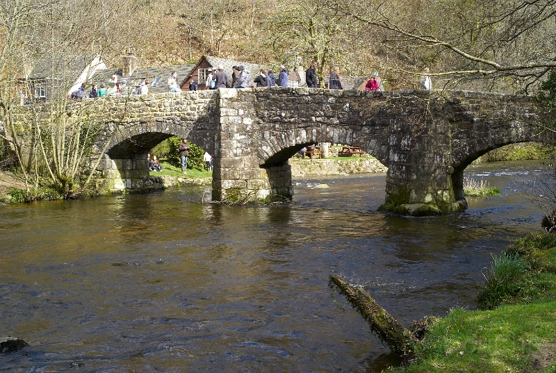 L1005538.jpg