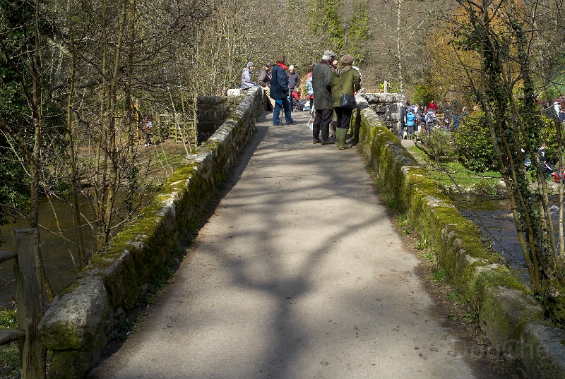 L1005540.jpg