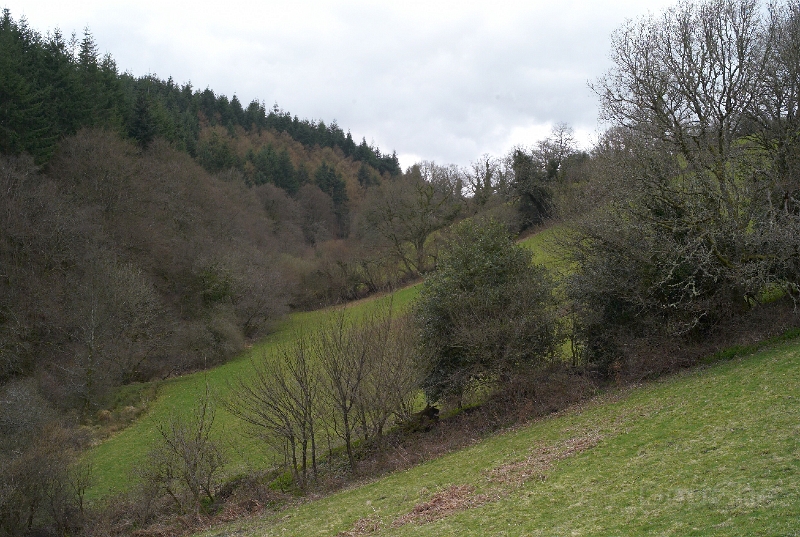 L1005541.jpg