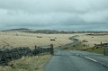 DSC_0212_out