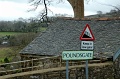 DSC_0217_out