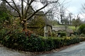 DSC_0220_out