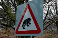 DSC_0231_out