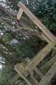 P1100206