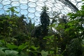L1005464