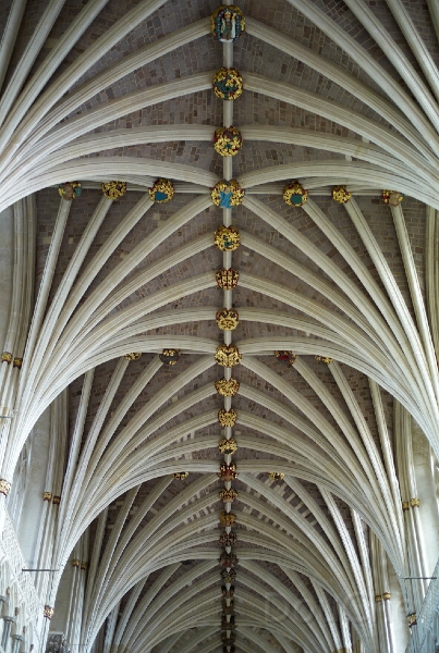 L1005135.jpg