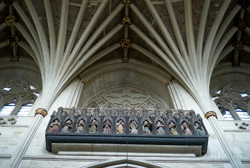L1005138.jpg