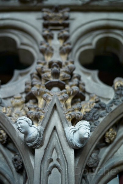 L1005146.jpg