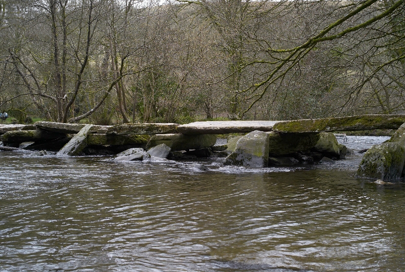 L1005625.jpg