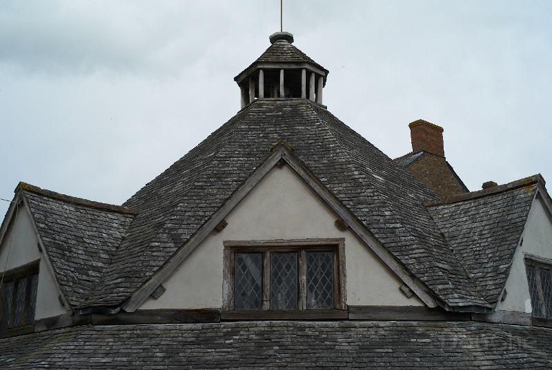 L1005639.jpg