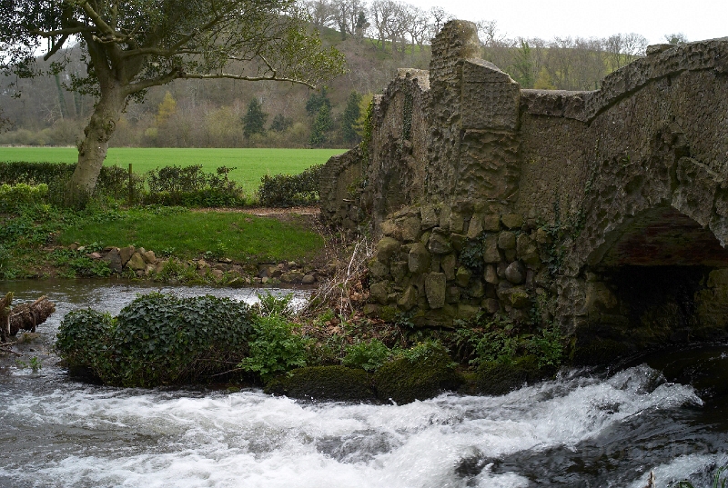 L1005663.jpg