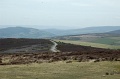 DSC_0020_out