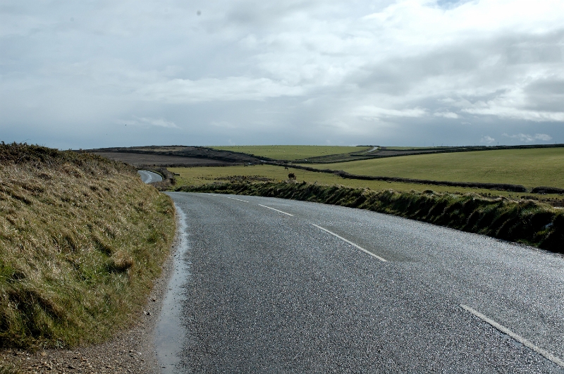 DSC_0037_out.jpg