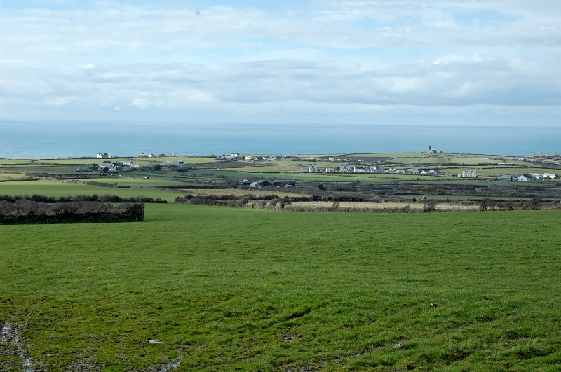DSC_0053_out.jpg