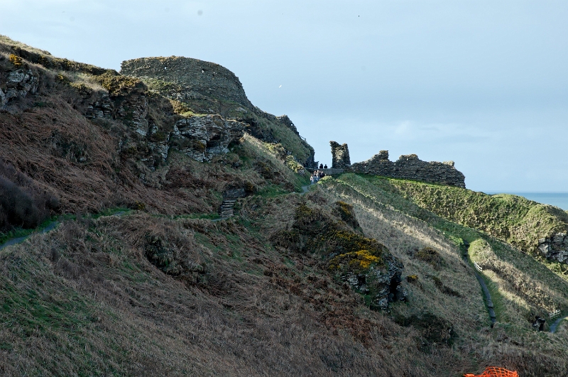 DSC_0058_out.jpg