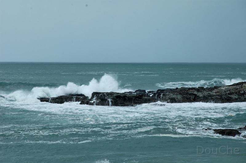 DSC_0180_out.jpg
