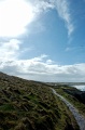 DSC_0017_out