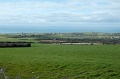 DSC_0053_out