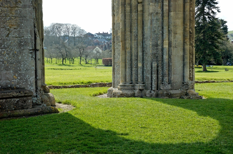 DSC_0096_out.jpg