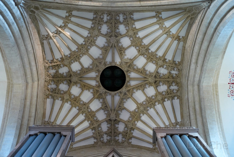 L1005767.jpg