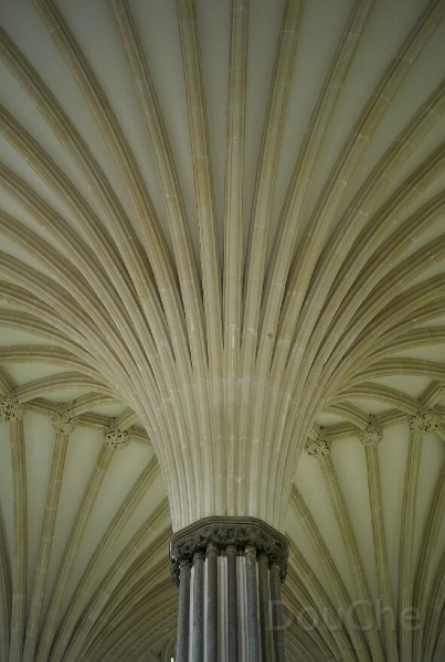 L1005794.jpg
