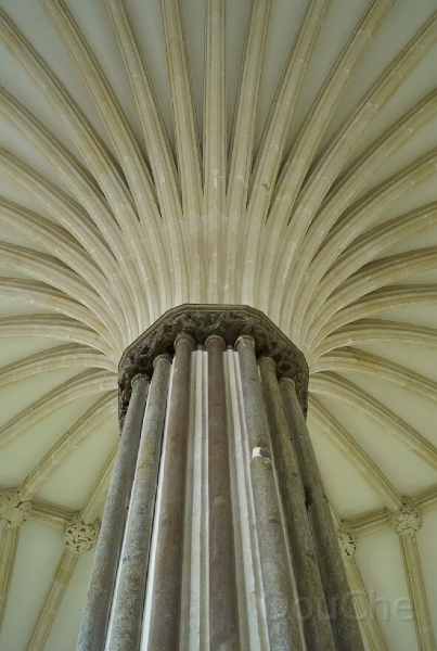 L1005795.jpg