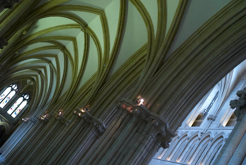 L1005807.jpg