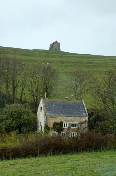 DSC_0164_out.jpg