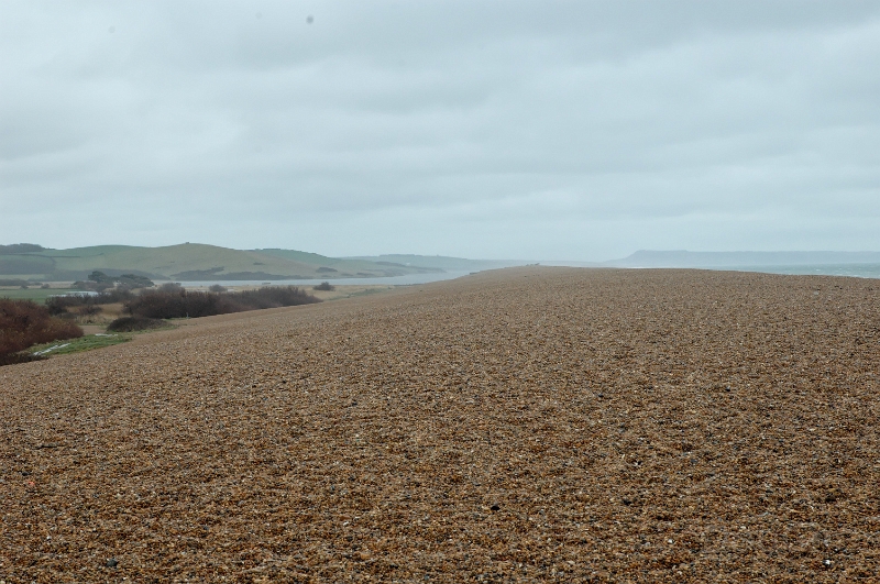 DSC_0166_out.jpg