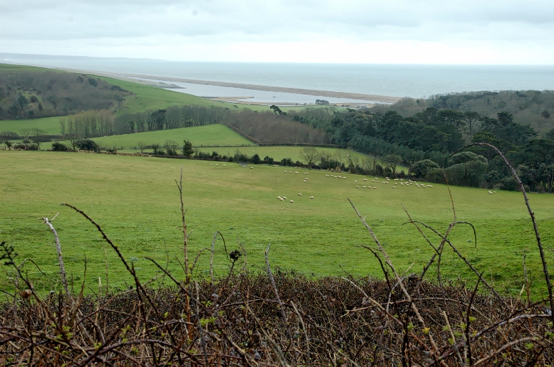 DSC_0170_out.jpg
