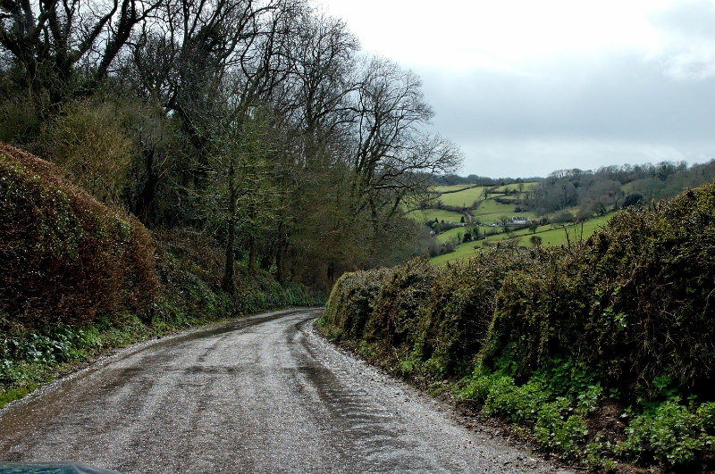 DSC_0188_out.jpg