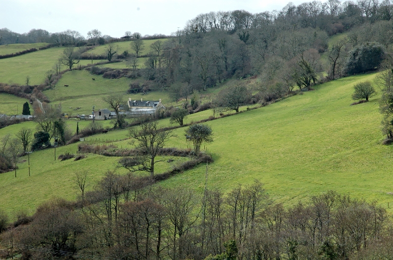 DSC_0192_out.jpg