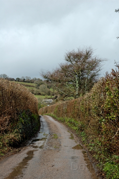 DSC_0198_out.jpg